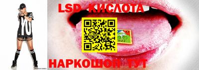 ПСИЛОЦИБИНОВЫЕ ГРИБЫ Славянск-на-Кубани