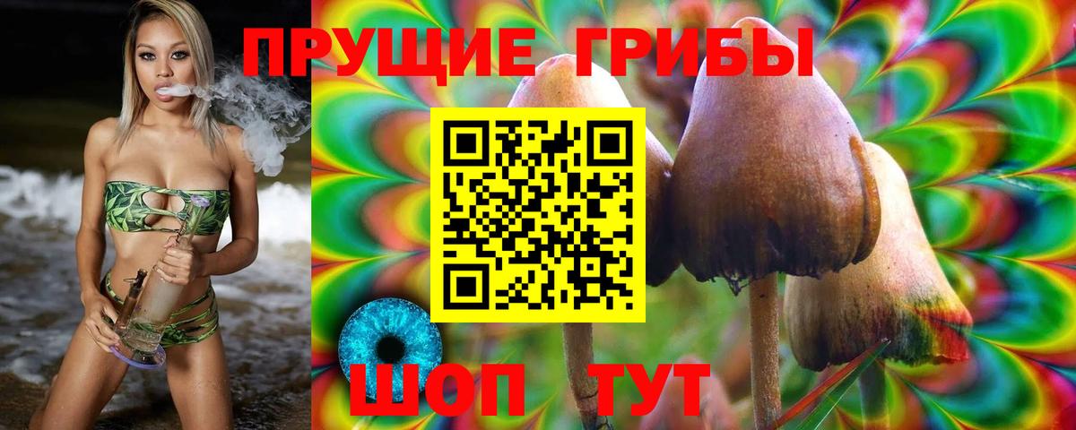 Галлюциногенные грибы мицелий Ликино-Дулёво